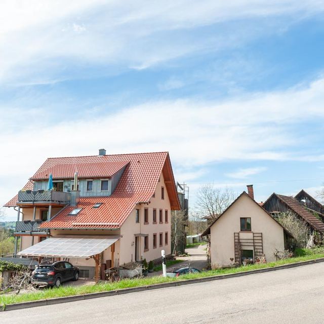 Bauernhofeis Bühler Freiamt - Impressionen