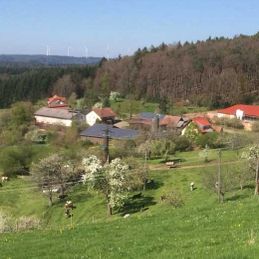 Bauernhofeis Bühler Freiamt - Impressionen