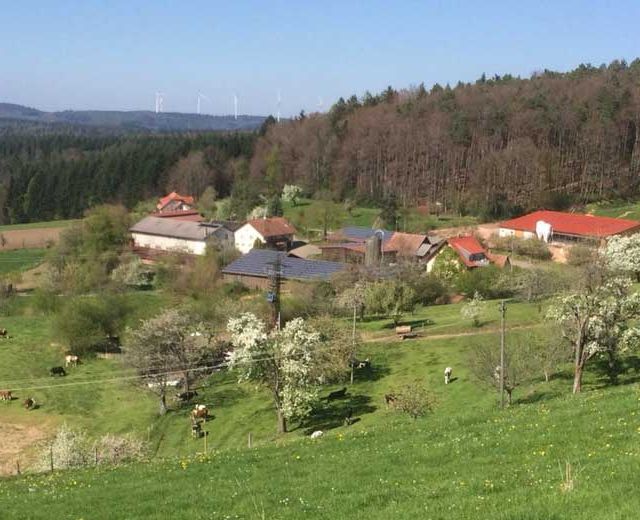 Bauernhofeis Bühler Freiamt - Impressionen